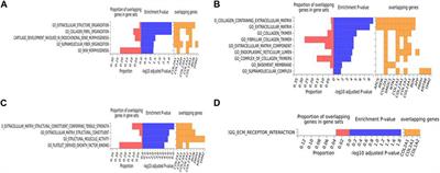 Alzheimer’s disease protein relevance analysis using human and mouse model proteomics data